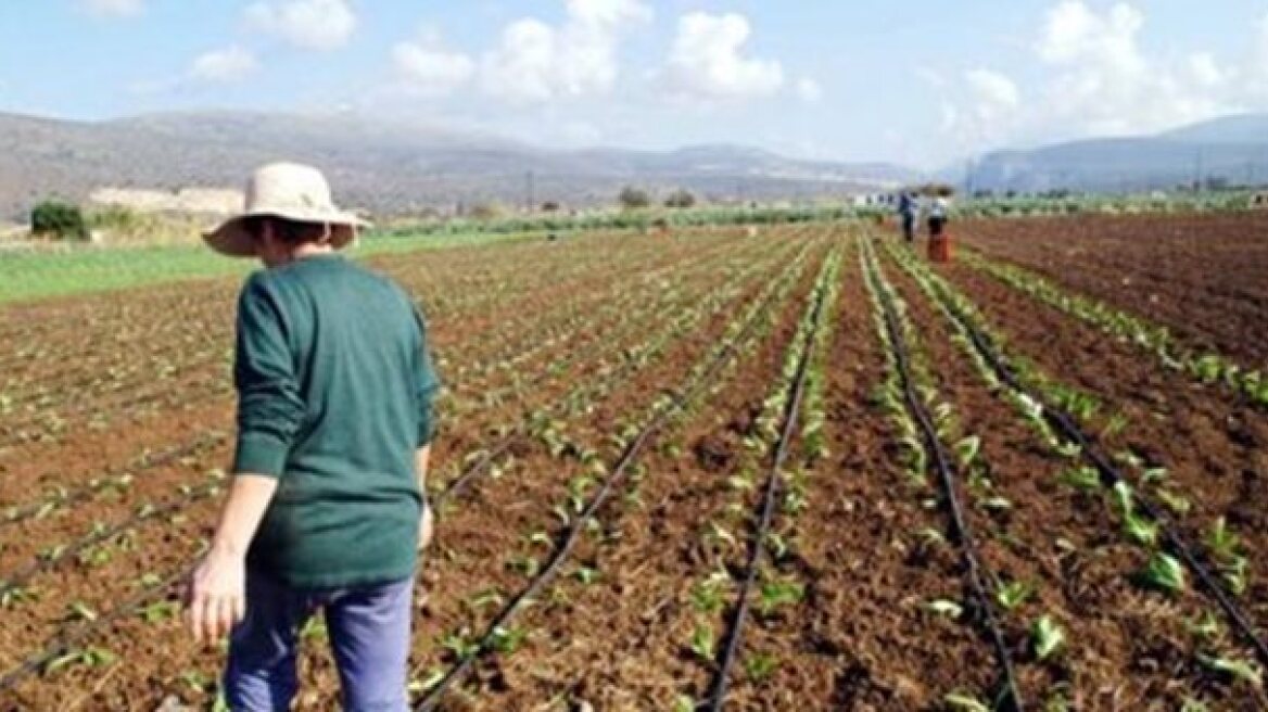 «Όχι» τριάντα βουλευτών της ΝΔ σε τροπολογία για την ασφάλιση αγροτών στον ΟΑΕΕ