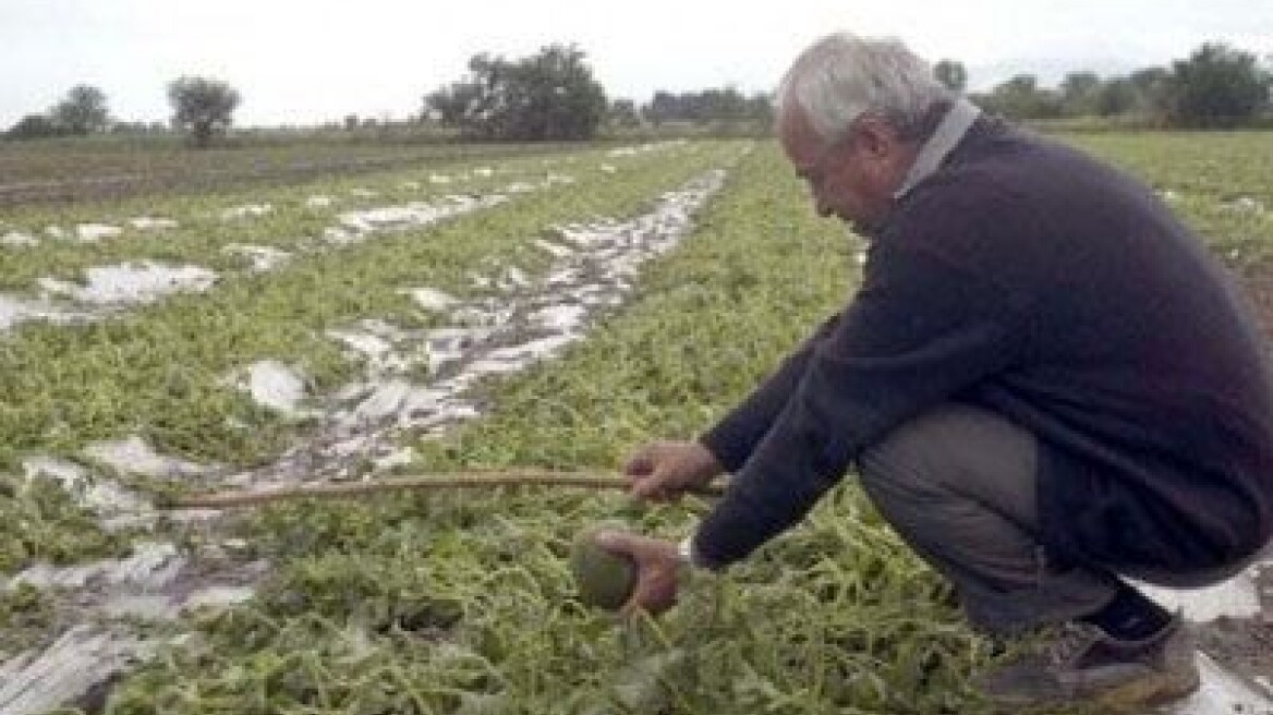 Αποζημιώσεις 9,3 εκατ. ευρώ σε παραγωγούς από τον ΕΛΓΑ