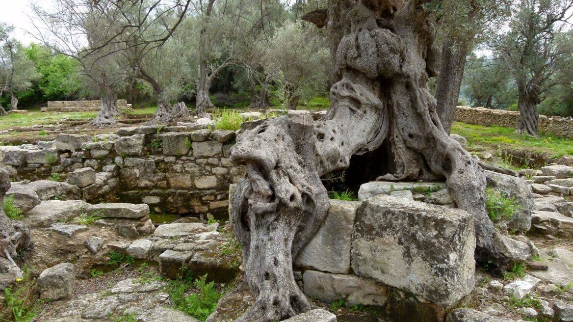 Linking culture and nature throughout Greece