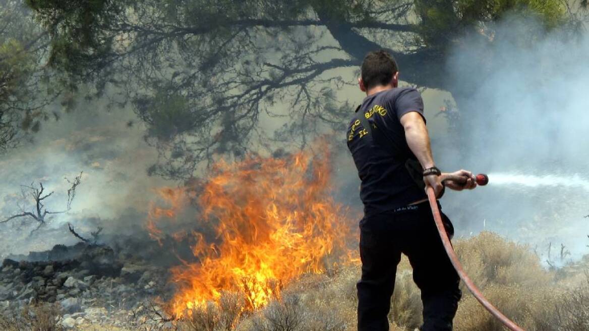 Πυρκαγιά στο Θυμάρι Παλαιάς Φώκαιας