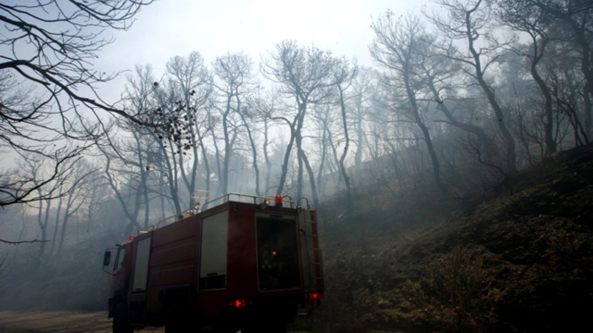 Υπό μερικό έλεγχο η φωτιά στη Σιθωνία 