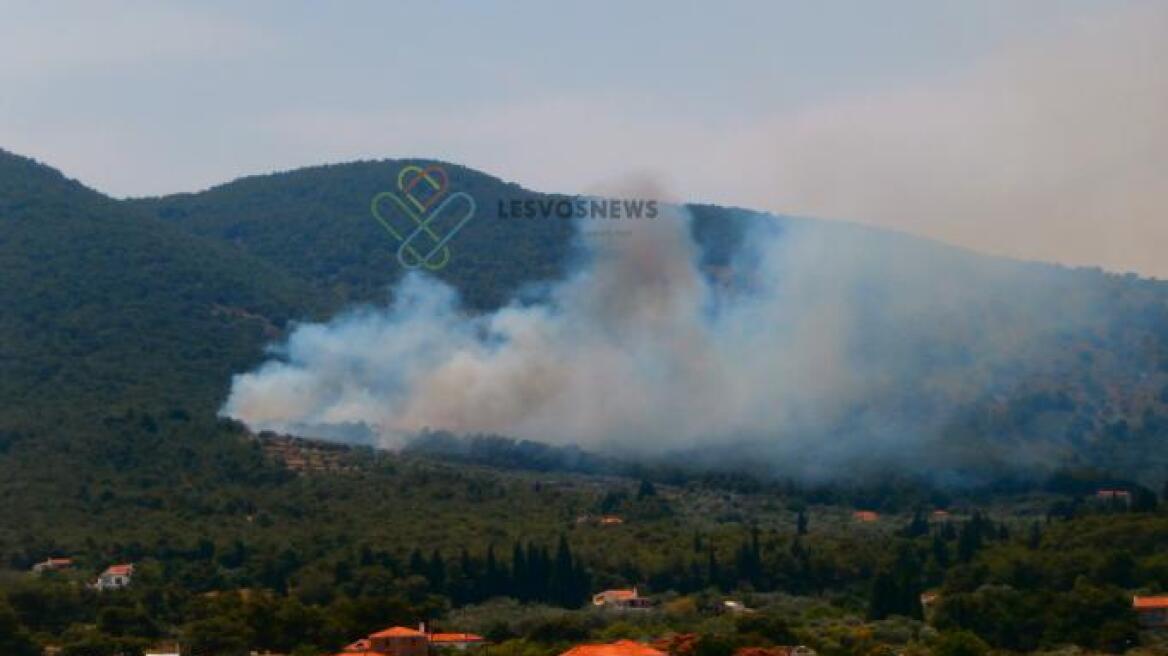 Σε ύφεση η πυρκαγιά στη Μυτιλήνη