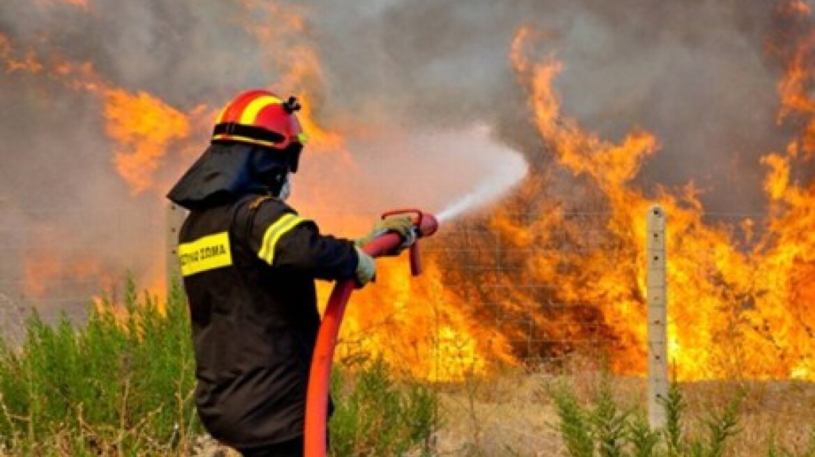 Πυρκαγιά καίει χαμηλή βλάστηση στην Επίδαυρο 