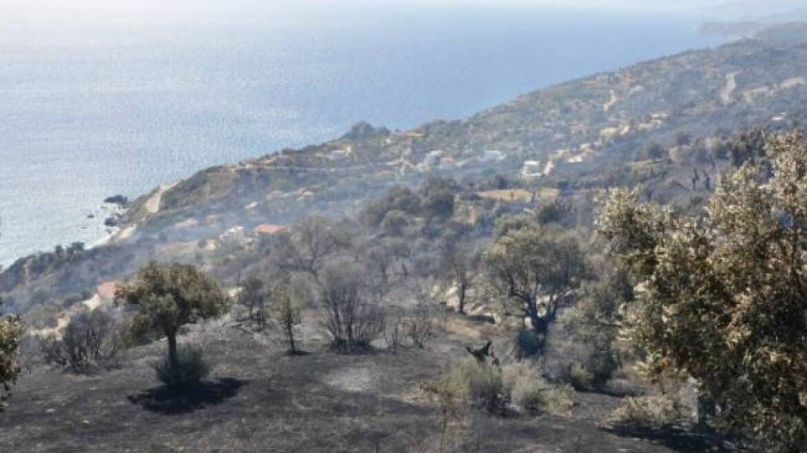 Εύβοια: Υπό έλεγχο η φωτιά στα Πολιτικά