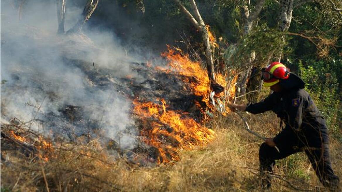 Πολύ υψηλός κίνδυνος πυρκαγιάς σήμερα στην Αττική