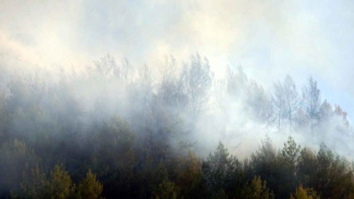 Υπό έλεγχο η φωτιά στη Σητεία, νέα πυρκαγιά στη Μεσσαρά 