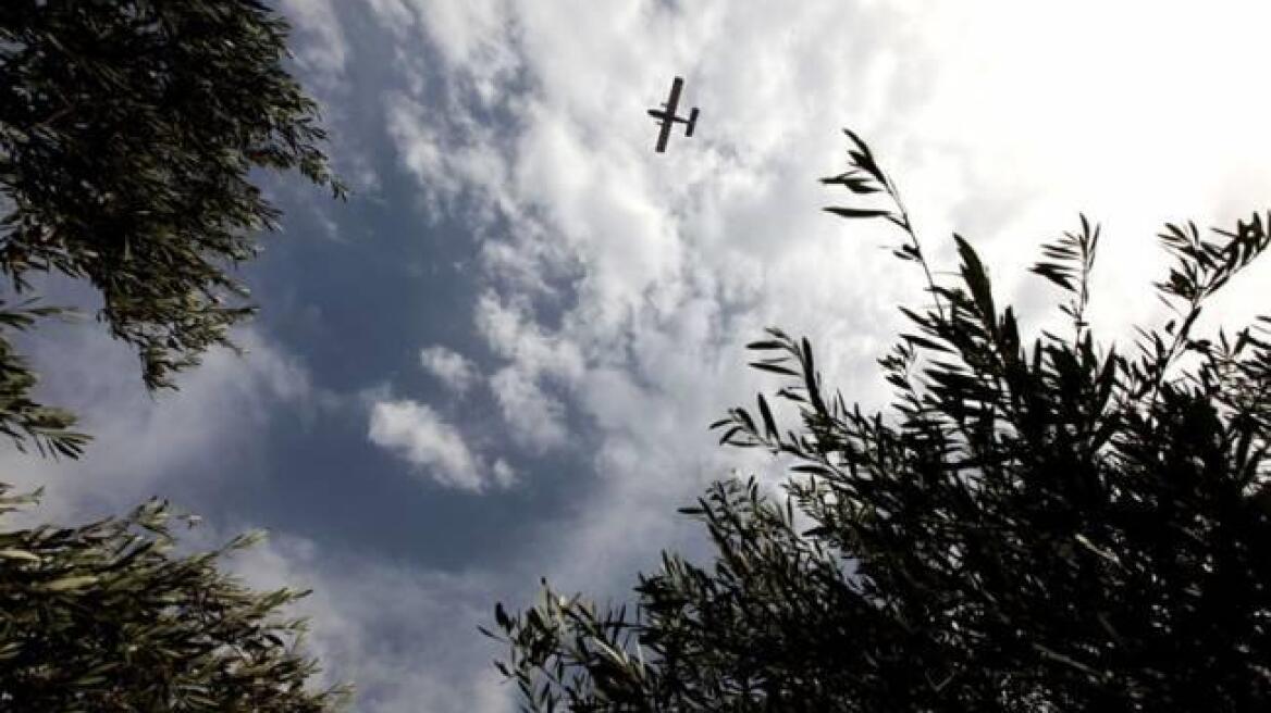 Καματερό: Σύλληψη 29χρονου για τις πυρκαγιές - Λέει ότι τις έβαλε λόγω... ερωτικής απογοήτευσης 