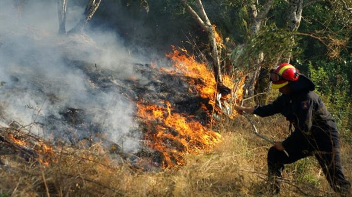 Πολύ υψηλός ο κίνδυνος πυρκαγιάς σε Αττική και νότια Εύβοια την Τρίτη 