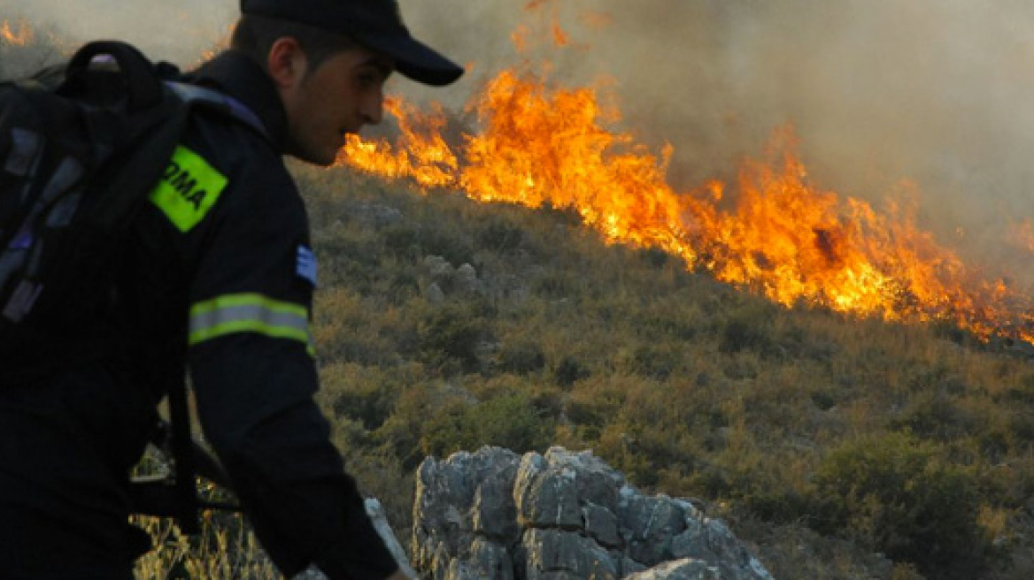 Κατά 25% λιγότερες φέτος οι πυρκαγιές