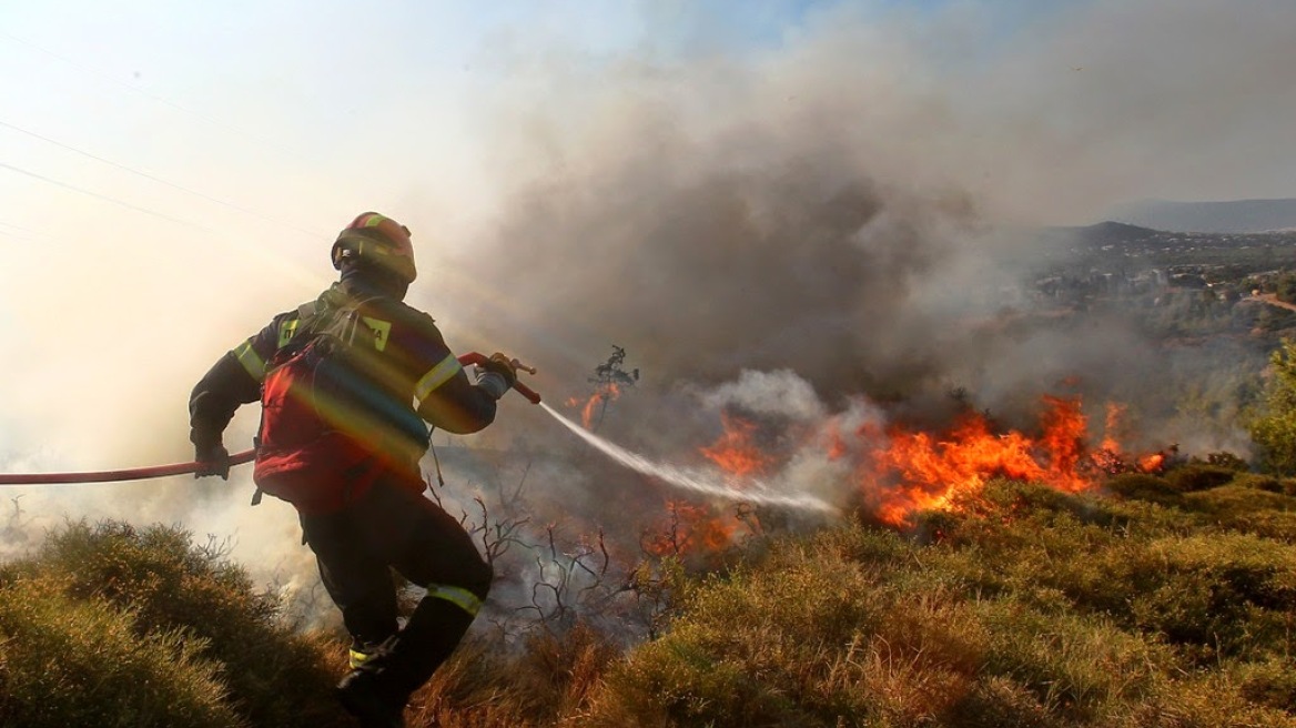 Μεσσηνία: Υπό μερικό έλεγχο η φωτιά - Συνεχίζεται η επιχείρηση κατάσβεσης