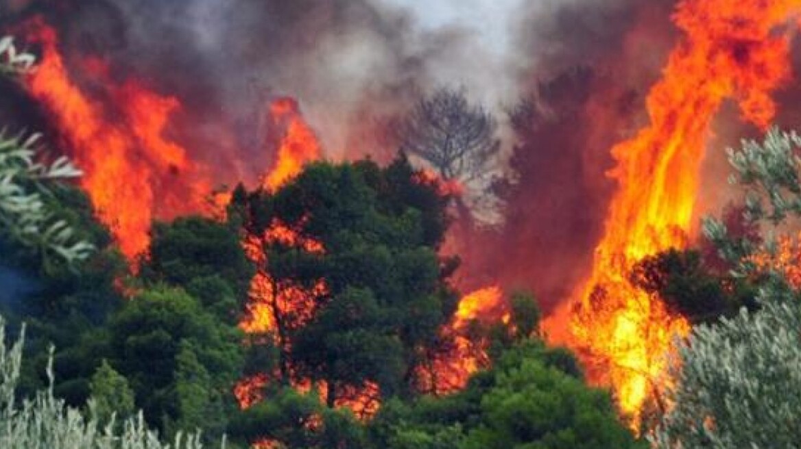 Κρήτη: Σε επιφυλακή όλη τη νύχτα η Πυροσβεστική για τη φωτιά στην Κίσαμο 