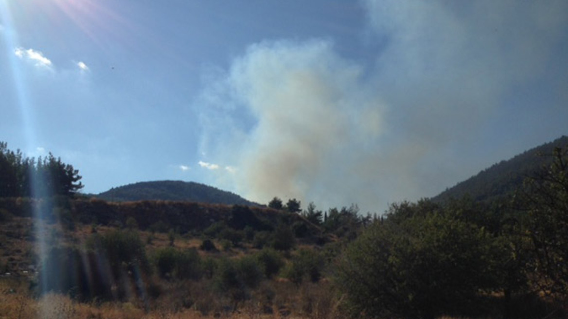 Υπό έλεγχο η φωτιά στην Σιλίμνα Αρκαδίας