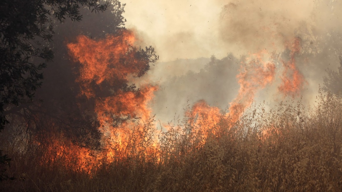 Αρκαδία: Ξεκίνησε σήμερα η καταβολή αποζημιώσεων στους πυρόπληκτους του 2007