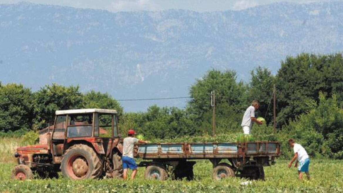 Με λουκέτο κινδυνεύουν 3.362 αγροτικοί συνεταιρισμοί