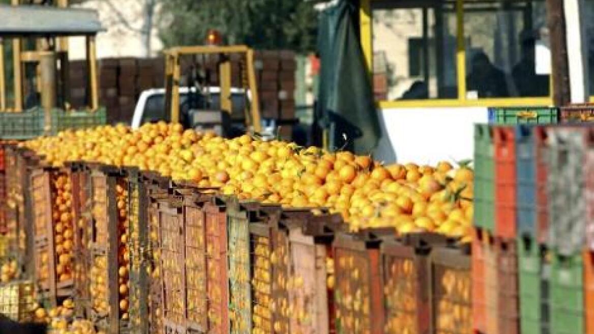 Υπέρ της αύξησης της στήριξης των αγροτών τάσσονται 21 κράτη - μέλη της Ε.Ε.