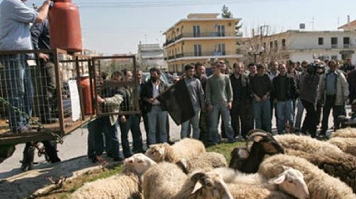 Συγκέντρωση διαμαρτυρίας κτηνοτρόφων την Τρίτη στην Αθήνα