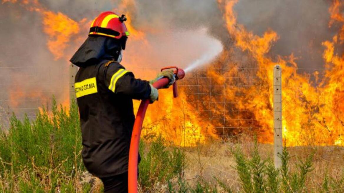 Συνελήφθη 49χρονος κυνηγός για την πυρκαγιά στο Λασίθι