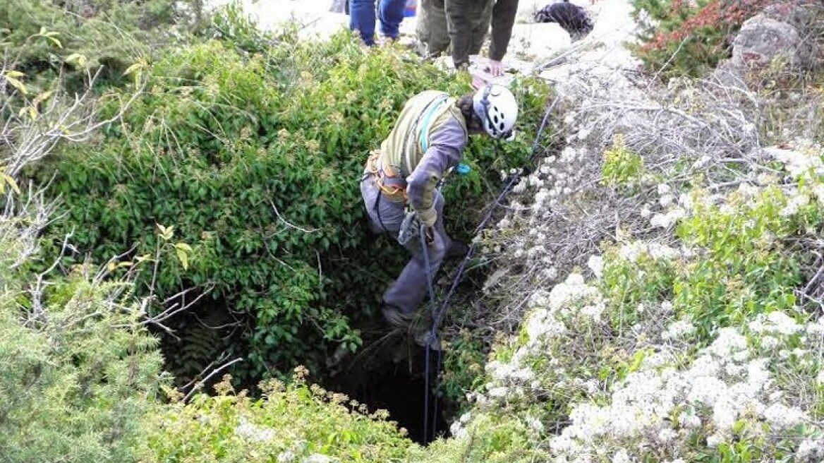 Τετράωρη επιχείρηση στην Πρέβεζα για τη διάσωση σκύλου