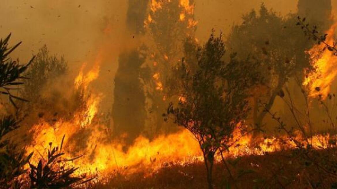 Στο ψυχιατρείο για έξι χρόνια ο εμπρηστής της Ρόδου