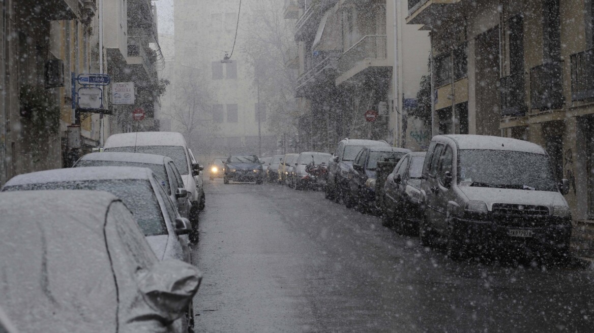 Ντύθηκε στα λευκά ακόμα και η... Κυψέλη