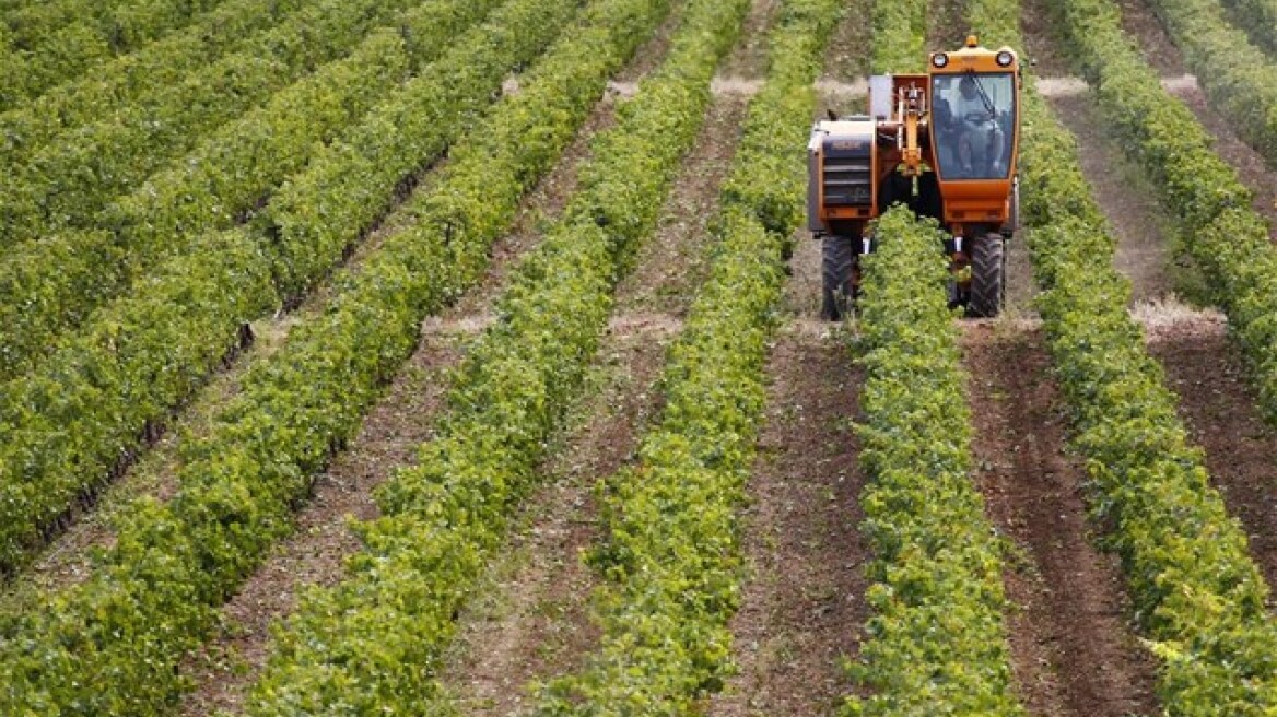 Πληρωμές 51,5 εκατ. ευρώ σε 107.000 αγρότες - Ξεκίνησαν ήδη οι καταβολές 