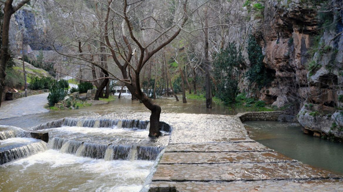 Στιγμές τρόμου στη Λιβαδειά: 13χρονος έπεσε σε φαράγγι και τραυματίστηκε στο κεφάλι