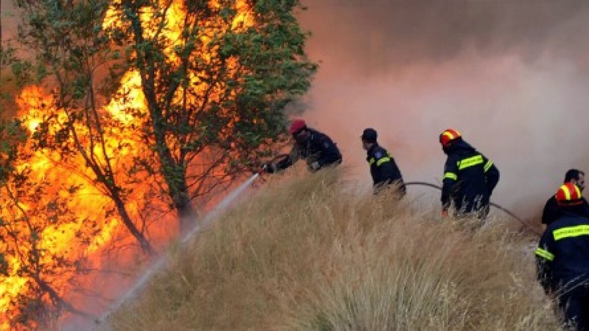 Κρήτη: Πυρκαγιά στο Ρέθυμνο 