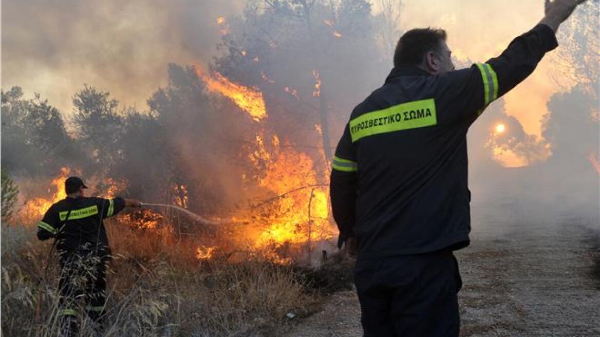 Σε ύφεση η πυρκαγιά στην περιοχή Ποτάμι Καρλοβάσου Σάμου