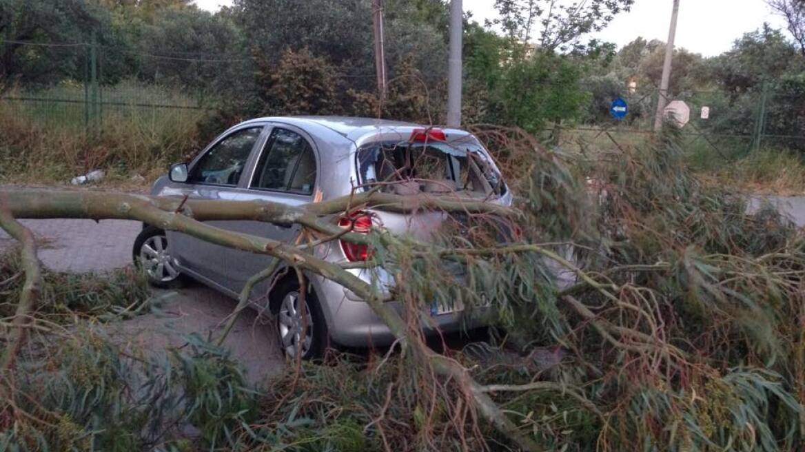 Πτώσεις δέντρων και αντικειμένων από τους ισχυρούς ανέμους στην Αττική