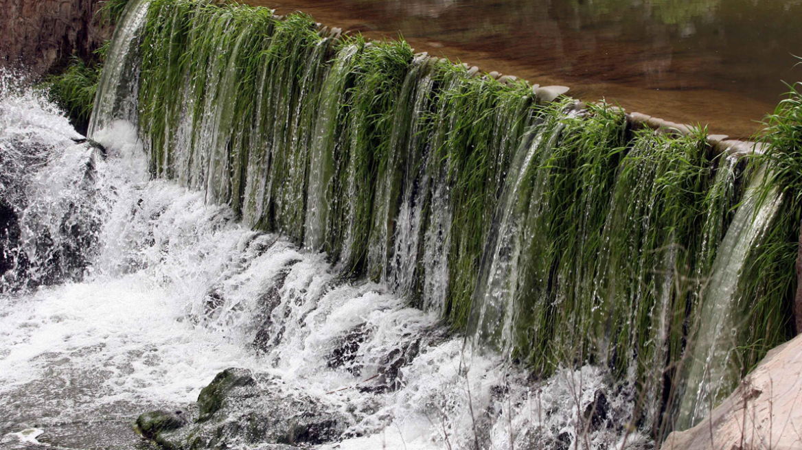 ΣτΕ: Διατάσσει τη λήψη μέτρων προστασίας για τον Ασωπό και τα Ψαχνά Ευβοίας