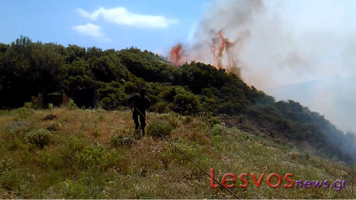 Μεγάλη πυρκαγιά έκαψε δασική έκταση στη Λέσβο