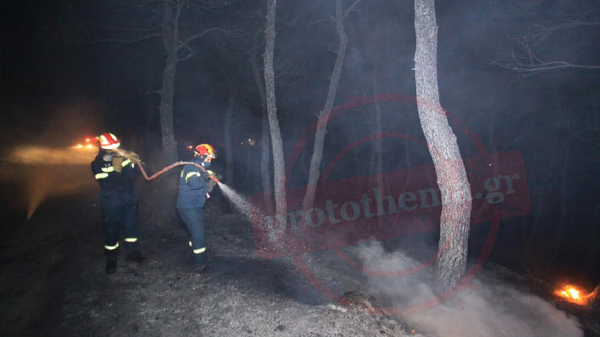 Υπό έλεγχο η φωτιά στη Φυλή