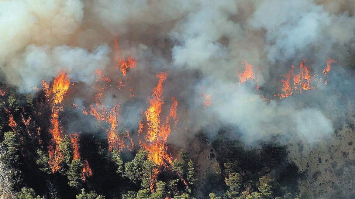 Πολύ υψηλός κίνδυνος πυρκαγιάς και σήμερα