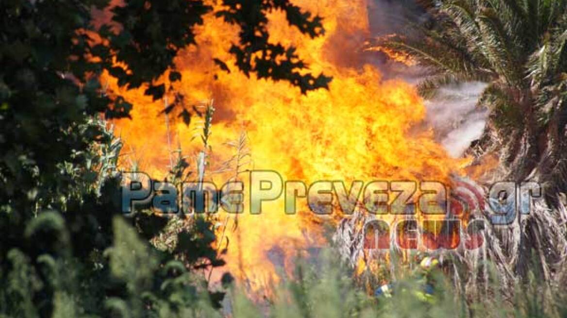 Μεγάλη φωτιά στο Καλαμίτσι στην Πρέβεζα