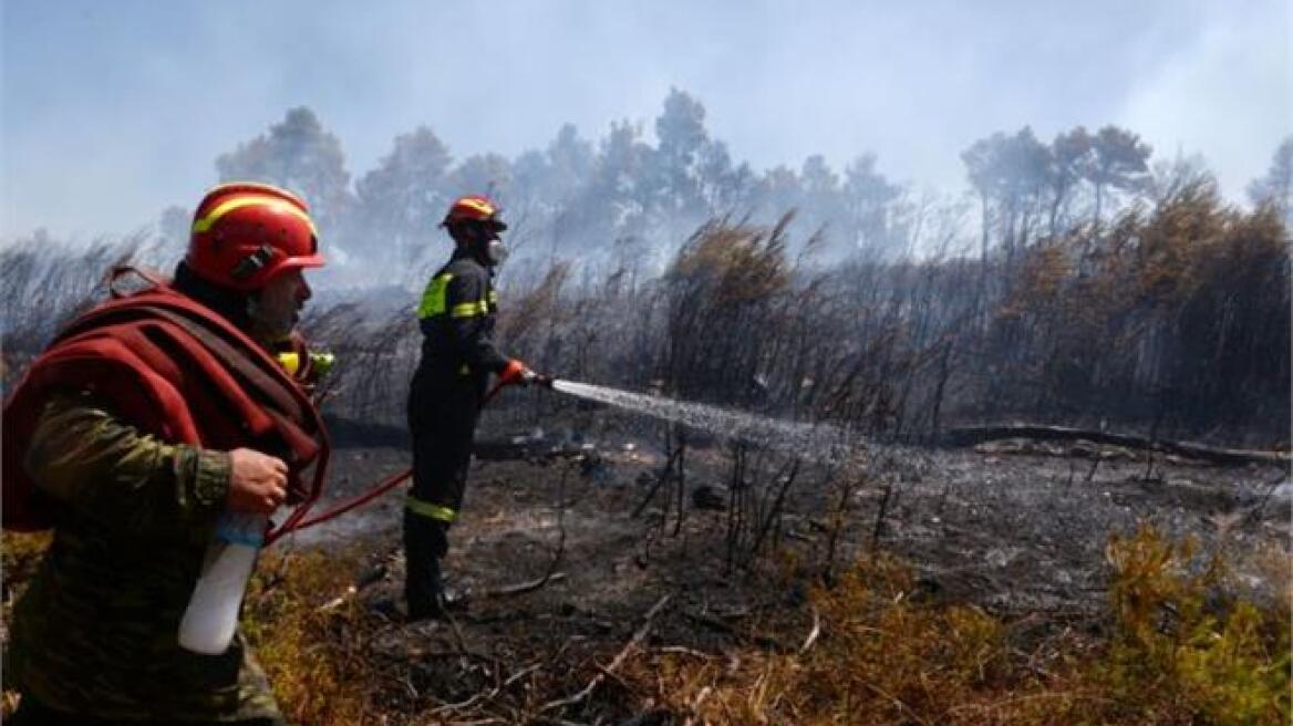 Σε ύφεση η πυρκαγιά στην Ηλεία που απείλησε το δάσος της Στροφυλιάς