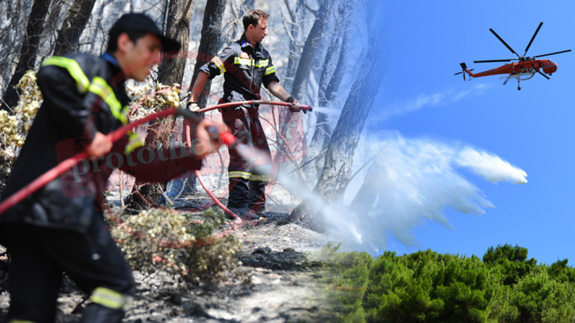 Πόρτο Ράφτη: Διακόσια στρέμματα κατέκαψε η φωτιά - Υποψίες για εμπρησμό