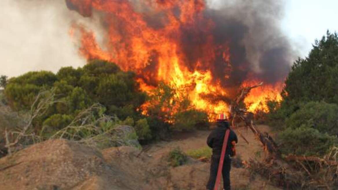 Υπό μερικό έλεγχο η φωτιά στο Άστρος Κυνουρίας