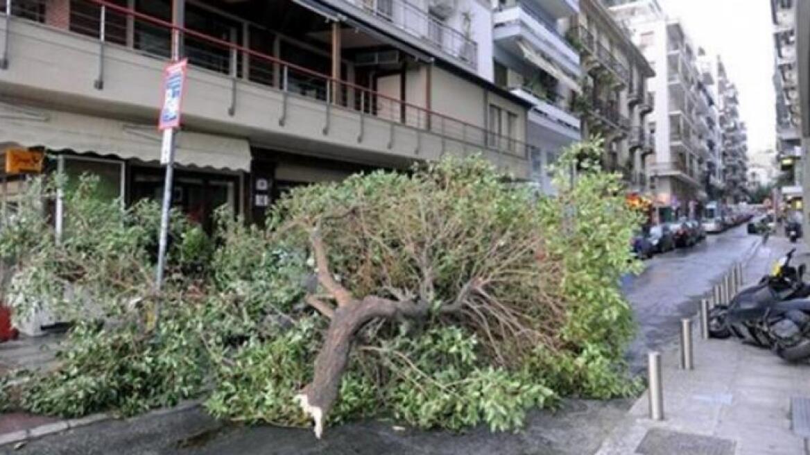 Χωρίς ρεύμα περιοχές της Θεσσαλονίκης, από την χθεσινή καταιγίδα