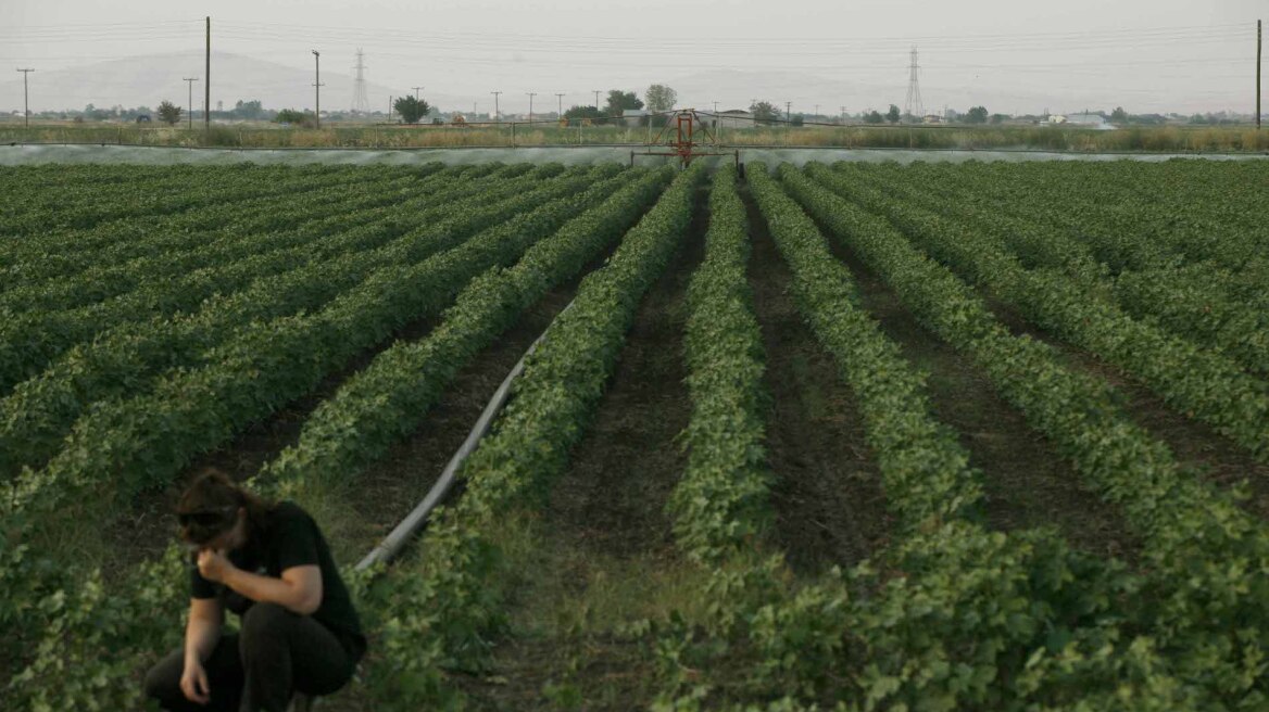 «Βροχή» τα μέτρα για να «ξεκλειδώσουν» οι δόσεις μέχρι το τέλος του έτους