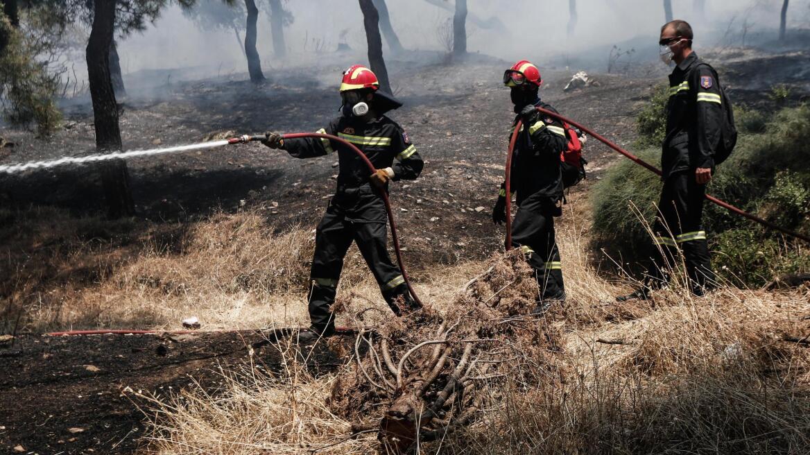 Υπό έλεγχο τέθηκαν οι φωτιές σε Αμόνι Κορινθίας και Ανάληψη Αμαλιάδας