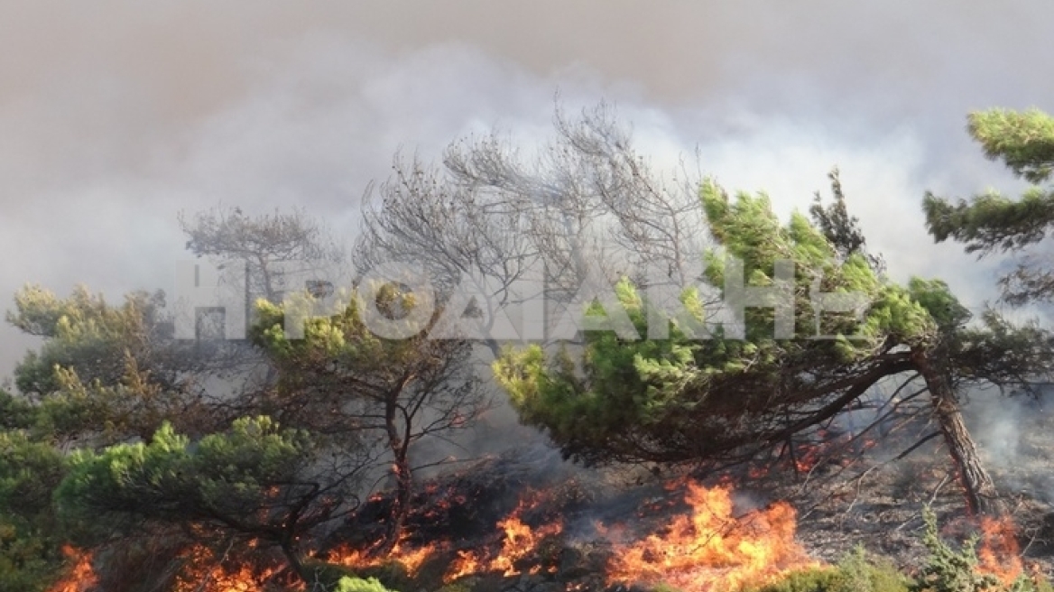 Υπό έλεγχο η μεγάλη φωτιά στη Ρόδο  - Κάηκαν 60 στρέμματα δάσους 