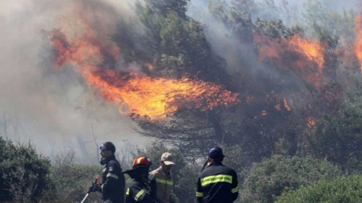 Κέρκυρα: Υπό πλήρη έλεγχο η πυρκαγιά που ξέσπασε σε δασική έκταση