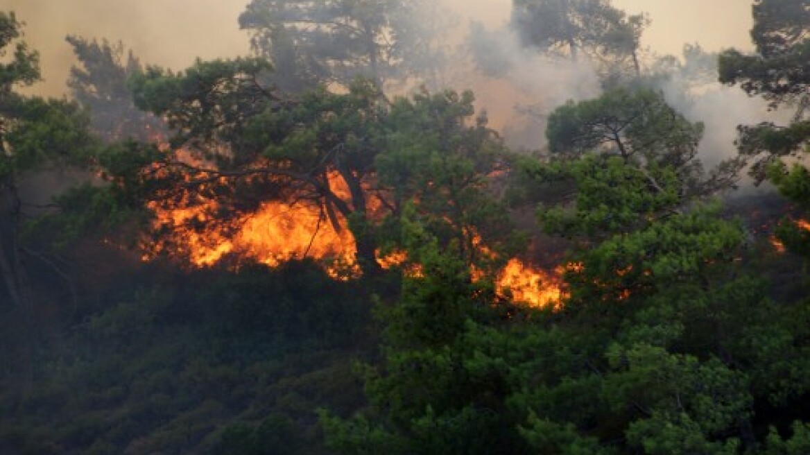 Κεφαλονιά: Τέθηκε υπό έλεγχο η φωτιά που ξέσπασε χτες στα Καμπιτσάτα