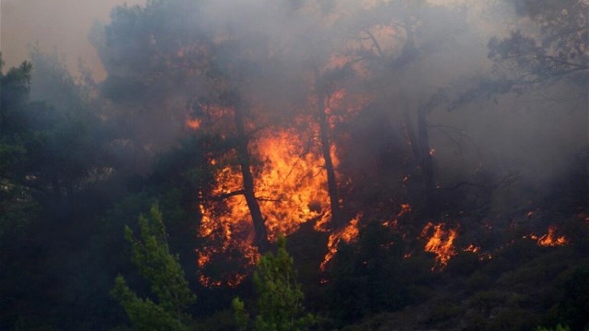 Υπό μερικό έλεγχο η πυρκαγιά στην περιοχή Καλαμάκι, στη Ζάκυνθο