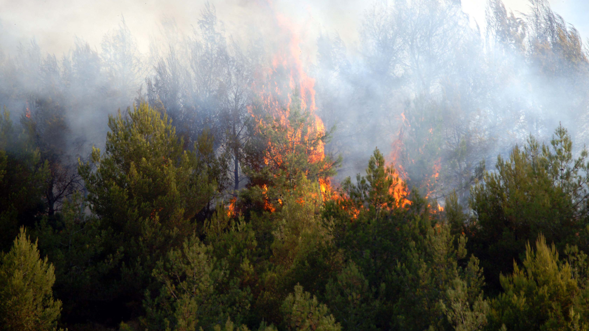 Πολύ υψηλός κίνδυνος πυρκαγιάς και για αύριο Πέμπτη 