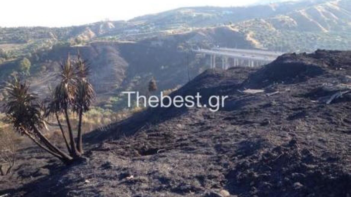 Πάτρα: 200 περίπου στρέμματα έκαψαν οι φλόγες στα Συχαινά