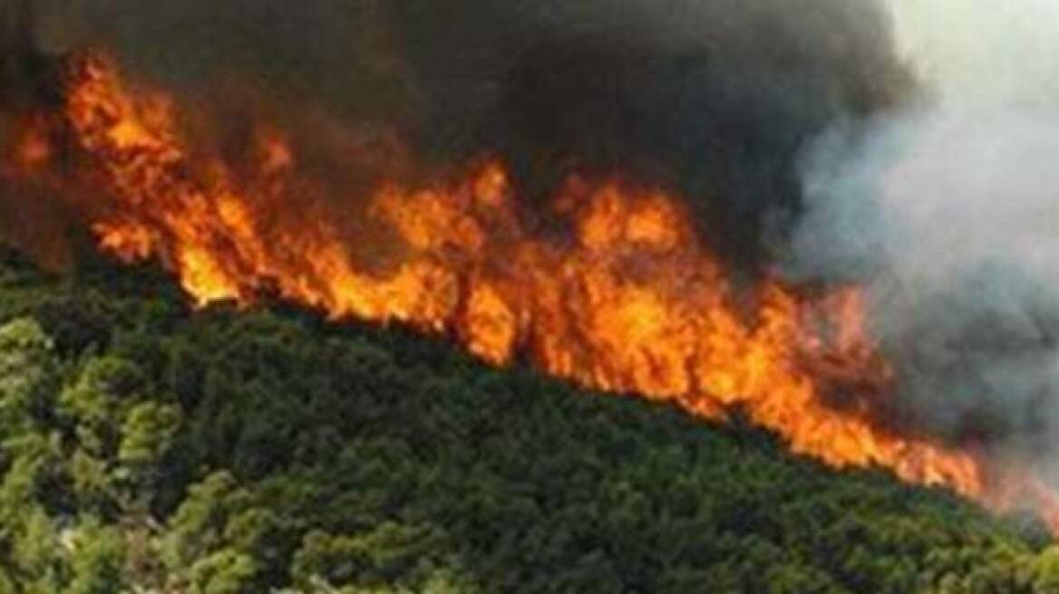 Φωτιά σε δύσβατο σημείο στην Πύλα Κυπαρισσίας