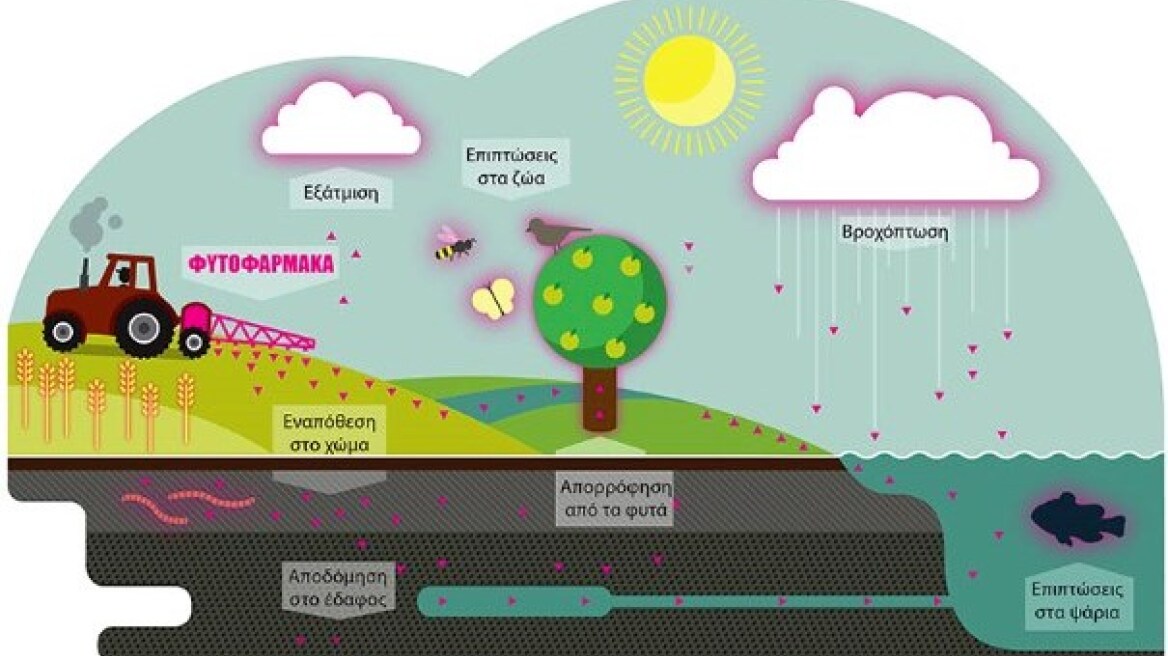 Greenpeace: Καταργήστε τη χρήση των συνθετικών-χημικών φυτοφαρμάκων