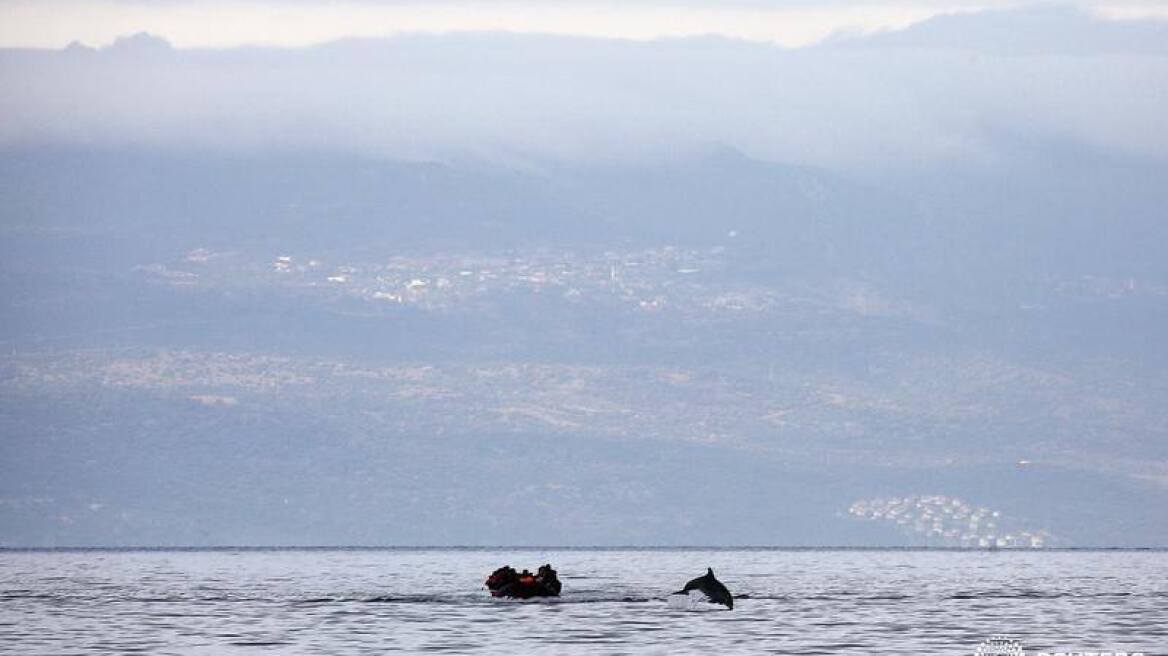 Φωτογραφία από τη Λέσβο: Οι πρόσφυγες και το δελφίνι