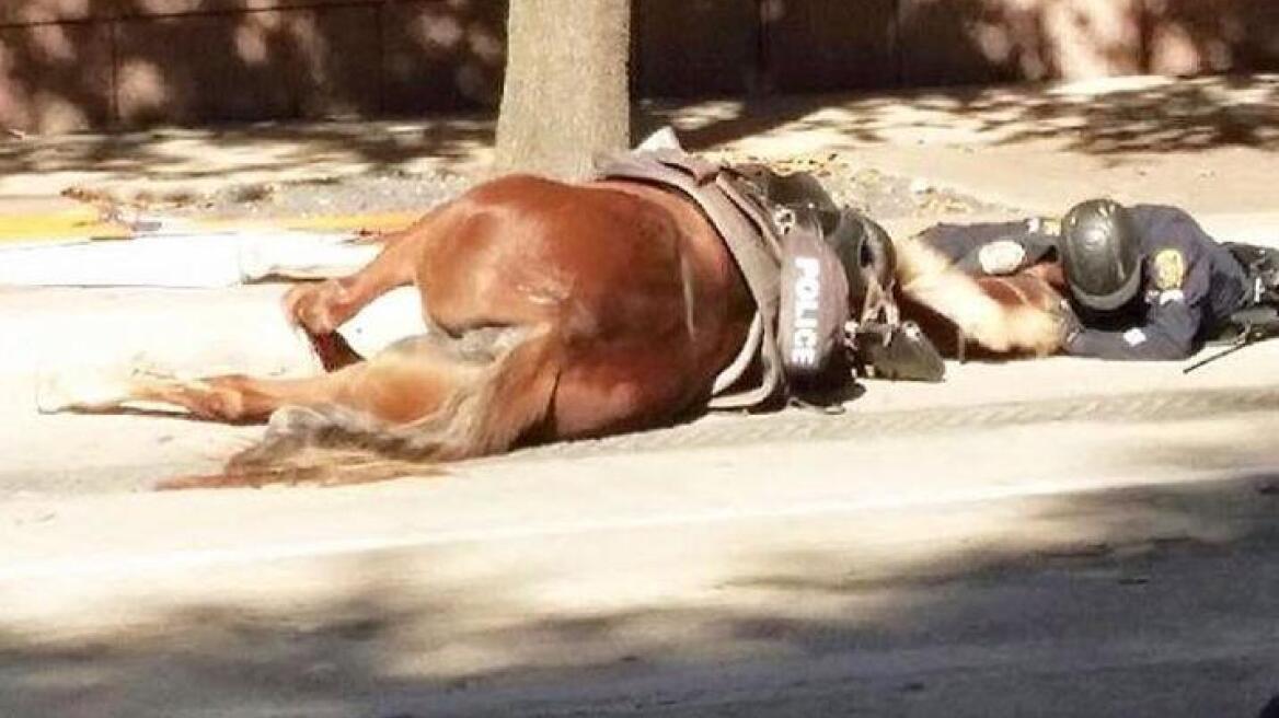 Αστυνομικός παρηγορεί το άλογό του, που ξεψυχάει